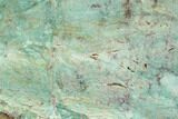 Polished Fuchsite Chert (Dragon Stone) Slab - Australia #89972-1